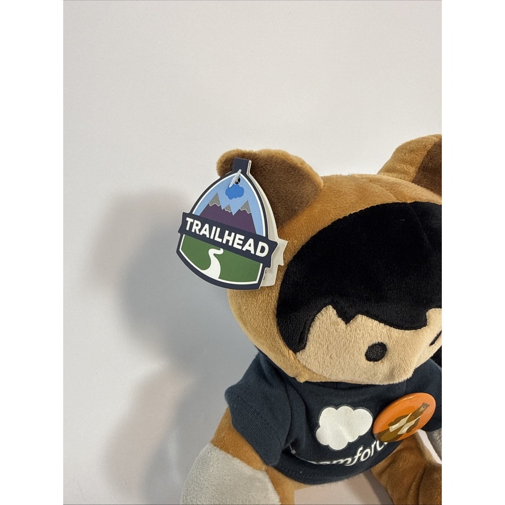Salesforce Dreamforce Astro Trailhead Plush Mascot Blue Hoodie Raccoon Tags - Picture 2 of 9